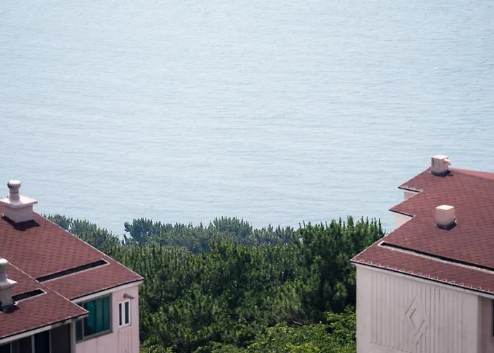 Mocean #oceanview #group